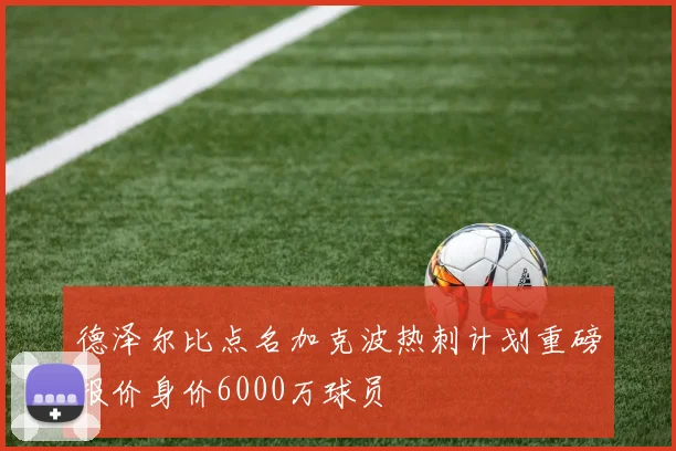 德泽尔比点名加克波热刺计划重磅报价身价6000万球员